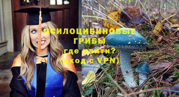 твердый Приозерск