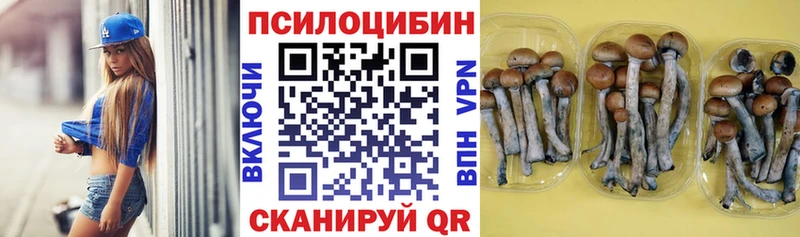 Галлюциногенные грибы GOLDEN TEACHER  Купить где  Черкесск 