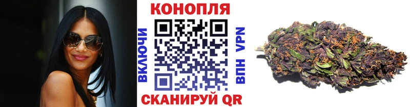 Купить где  Черкесск  Марихуана семена 